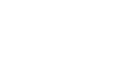 Pelota PRO Liga